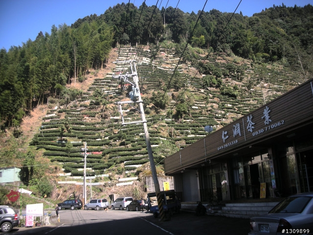 告別2010最後一場，絕色151竹溪杉自行車挑戰賽