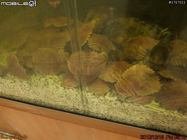 桃園-櫻之居~握壽司套餐 2010/12/18