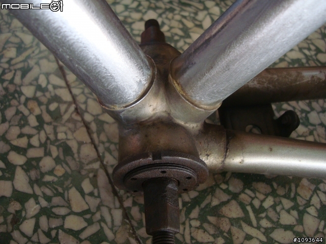 老鋼管翻新[我的假貨colnago，快樂騎乘中]    出沒地:往永安漁港沿途