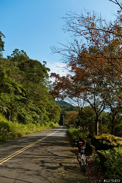 [遊記]在楓紅的路上──北31汐平公路(2010.12.19)