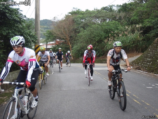 12-05 陽金p字 照片，春風車隊邊騎邊拍