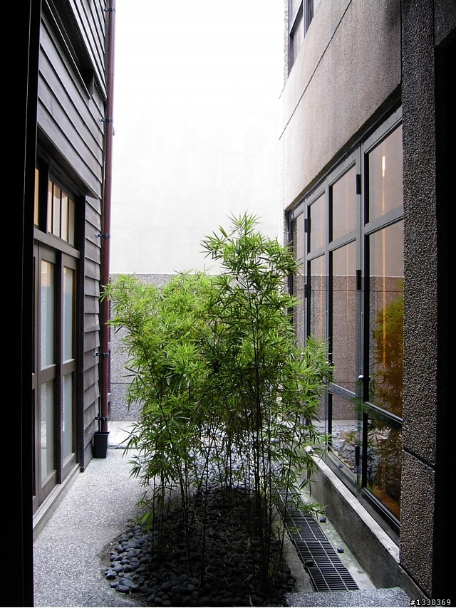 leica x1  vs contax TVSD