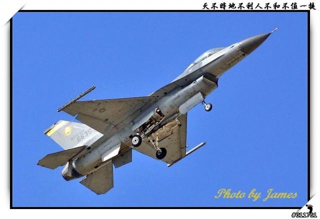 新竹打鳥趣(圖多礙眼請見諒)