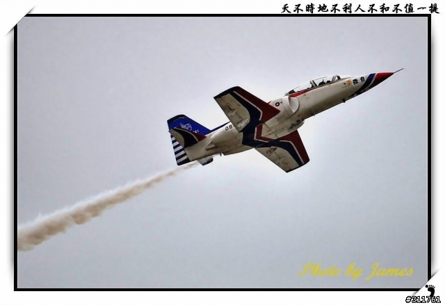 新竹打鳥趣(圖多礙眼請見諒)