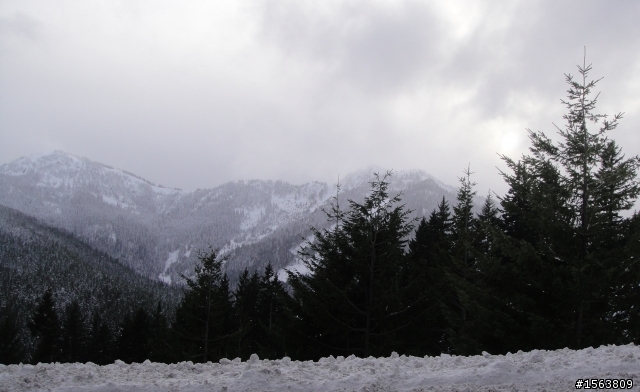 陽光.綠樹.高山.雪道.單車行~與女王騎車趣