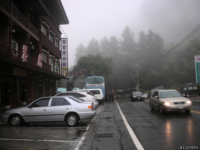 告別2010最後一場，絕色151竹溪杉自行車挑戰賽