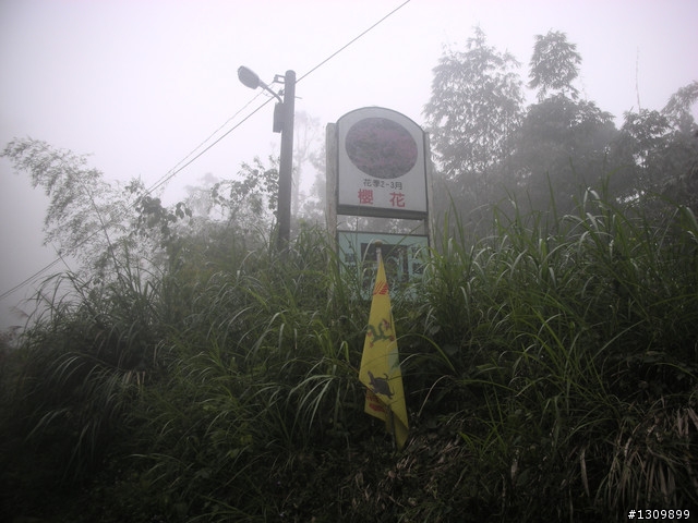 告別2010最後一場，絕色151竹溪杉自行車挑戰賽