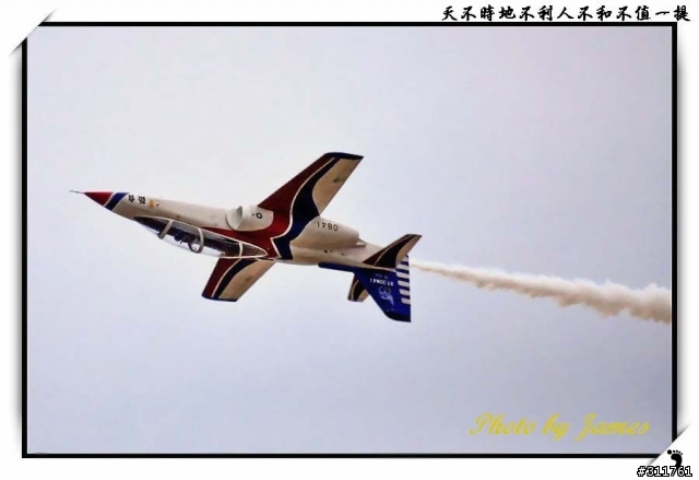 新竹打鳥趣(圖多礙眼請見諒)