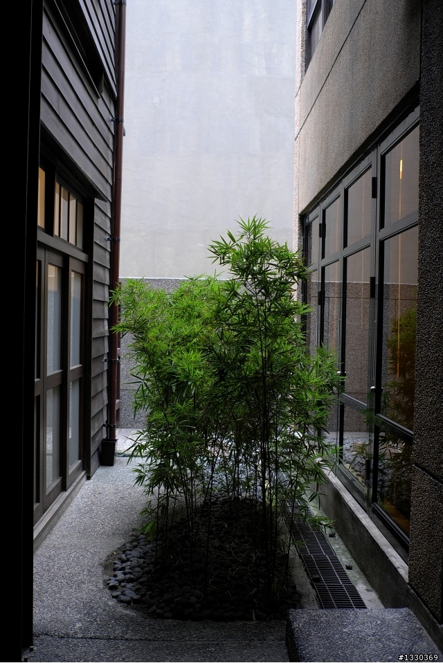 leica x1  vs contax TVSD