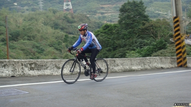 p字道剛剛出爐的照片