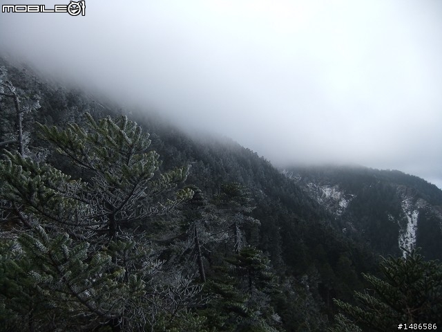 玉山暴走