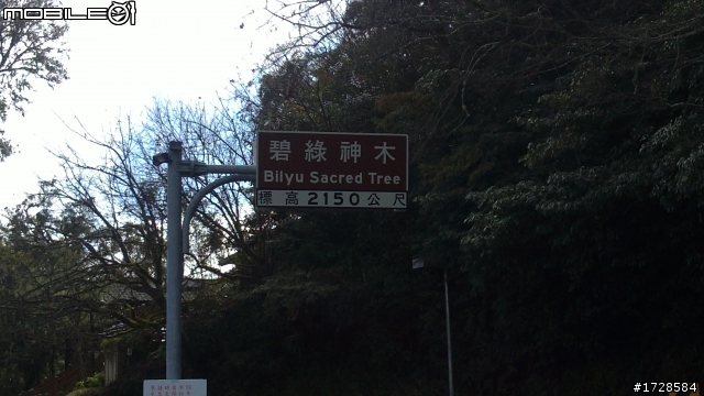 100/1/24~27熱血紀錄989公里!!永康 → 嘉義 →阿里山→玉山→塔塔加→日月潭 →清境→合歡山→武嶺→梨山→天祥→太魯閣→花蓮→台東→屏東楓港→高雄→台南