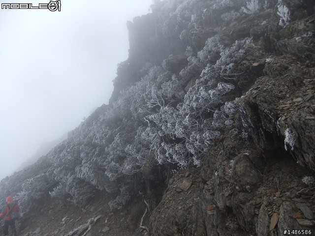 玉山暴走