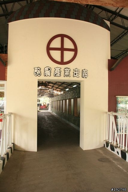 跟著食尚走～嘉義二一遊-第二天-峰炸、人龍、奔牛～