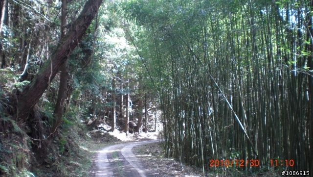 霞喀羅國家步道單騎越嶺—我和狗狗~小黑(上)