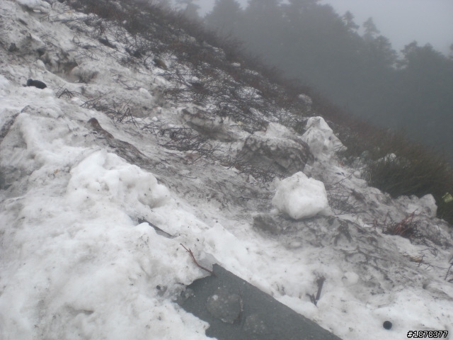 1/21 終於衝上去合歡山 武嶺了   都是雪