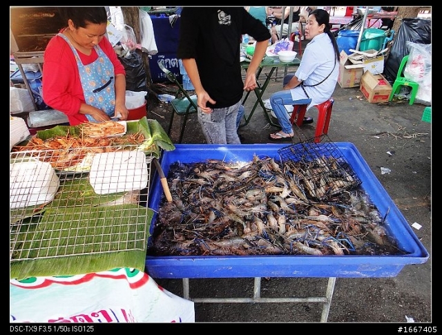 用TX9 在泰國過貴族生活