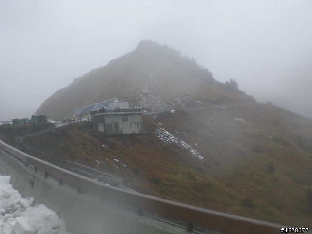 1/21 終於衝上去合歡山 武嶺了   都是雪