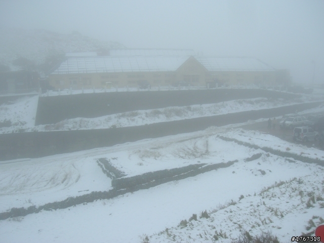 圓夢之旅~~~合歡賞雪記!