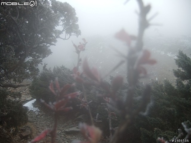 玉山暴走