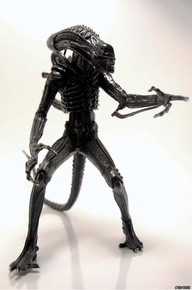 NECA AVPR Alien Warrior - 異形來襲