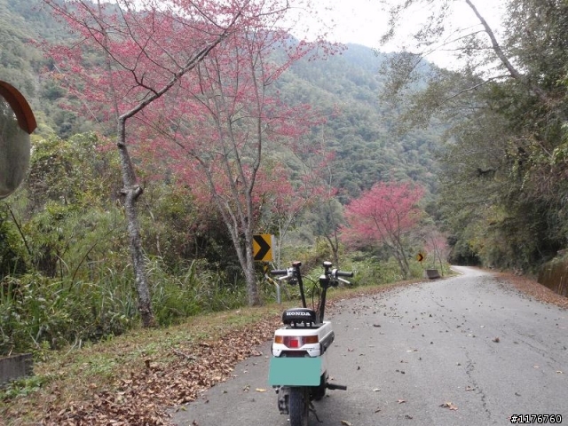 騎著 HONDA MOTOCOMPO 征服埡口 南橫之旅 ! ( 西部 )