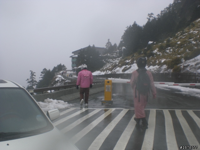 1/21 終於衝上去合歡山 武嶺了   都是雪