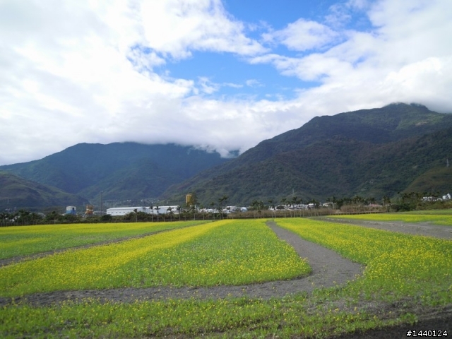 山路不暈