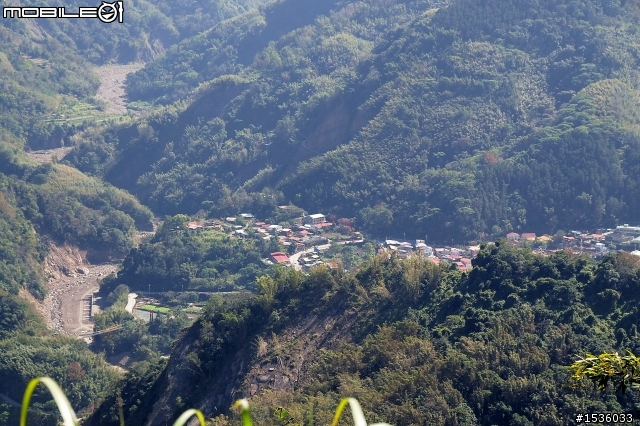 123開著Luxgen SUV到阿里山，阿里山，山上有神木，山下有便當。