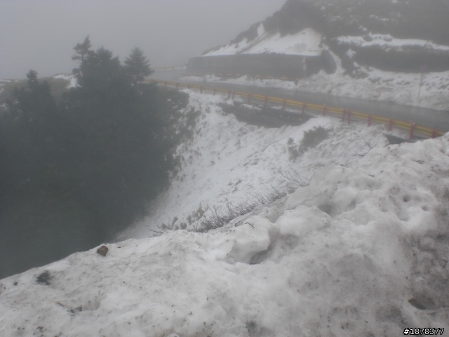 1/21 終於衝上去合歡山 武嶺了   都是雪