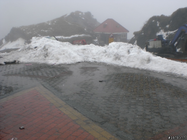 1/21 終於衝上去合歡山 武嶺了   都是雪