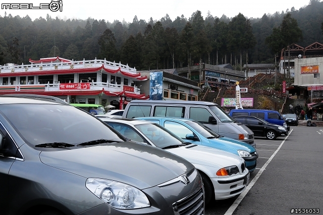 123開著Luxgen SUV到阿里山，阿里山，山上有神木，山下有便當。
