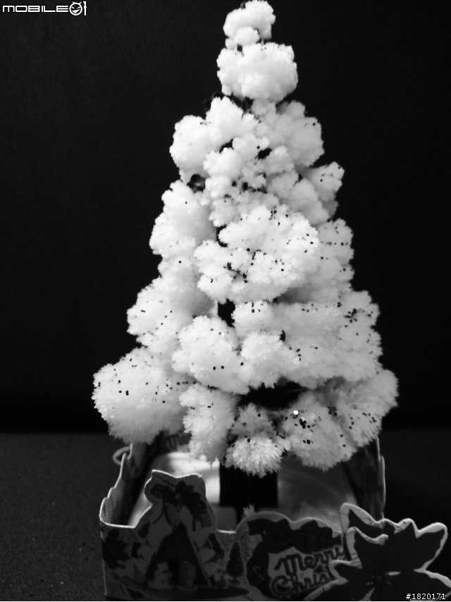 [不專業開箱]會開花的聖誕樹(1/2更新)