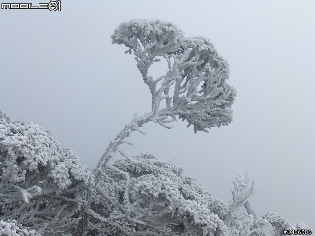 玉山暴走
