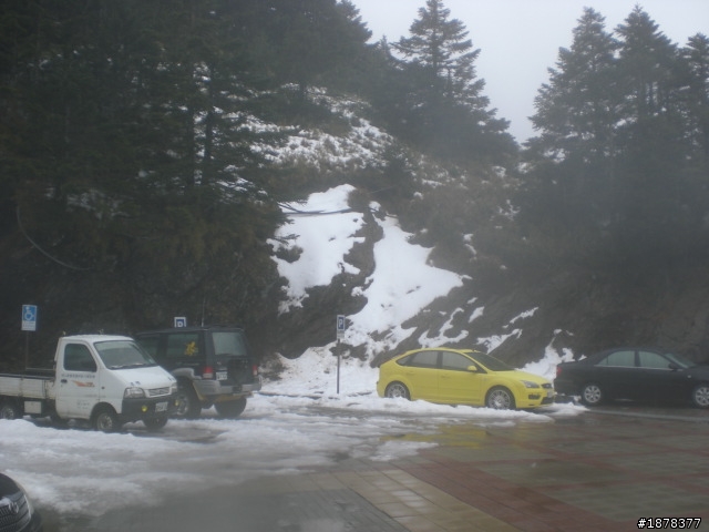 1/21 終於衝上去合歡山 武嶺了   都是雪