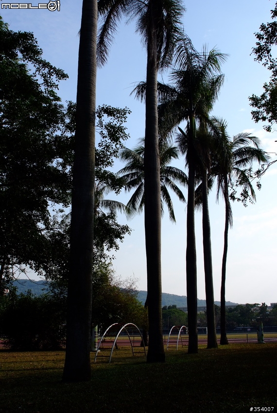 當Sigma 24mm F1.8 遇見 S5 PRO