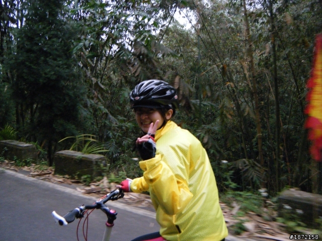 新手上路之八卦茶園遊記