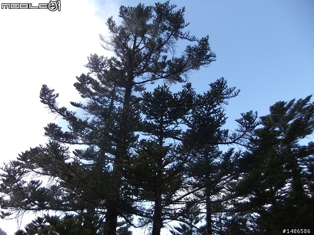 玉山暴走