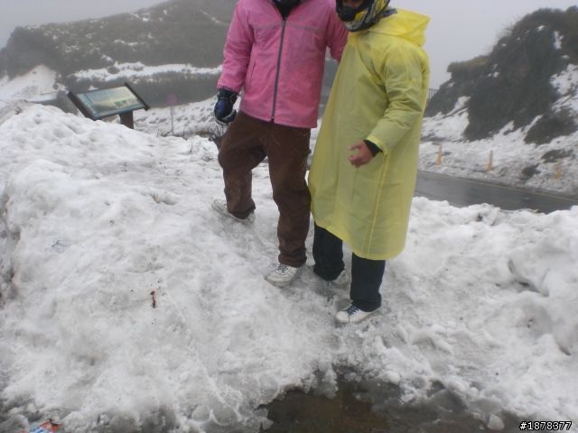 1/21 終於衝上去合歡山 武嶺了   都是雪