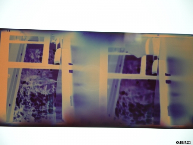 [開箱+試拍]Lomography ISO 50-200底片 (LOMO底片MAMIYA C3, 柯達SIX-20, 海鷗實拍)