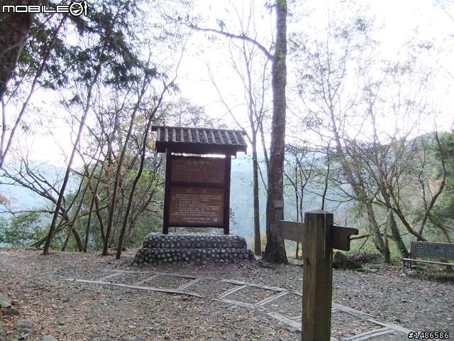玉山暴走