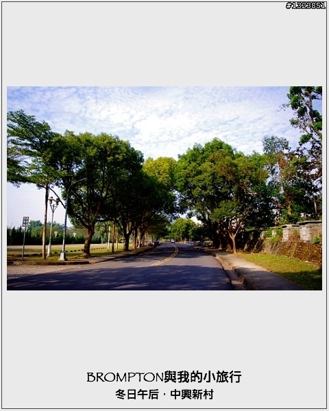 <BROMPTON與我的小旅行>冬日午后．中興新村