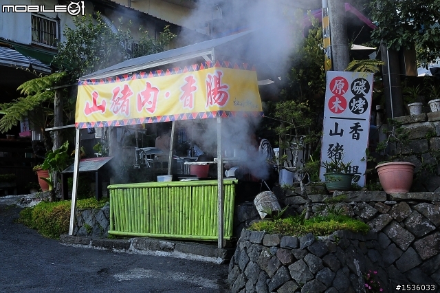 123開著Luxgen SUV到阿里山，阿里山，山上有神木，山下有便當。