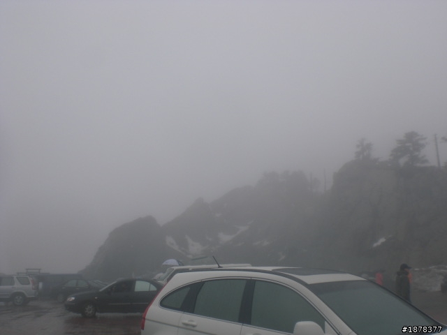 1/21 終於衝上去合歡山 武嶺了   都是雪