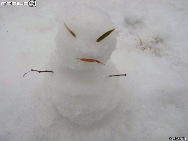 [DIY]雪鏈