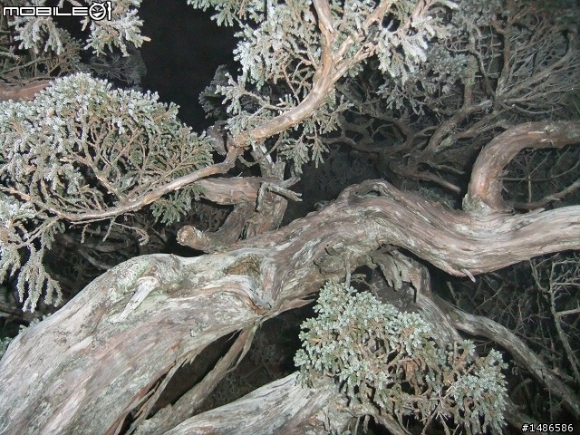 玉山暴走