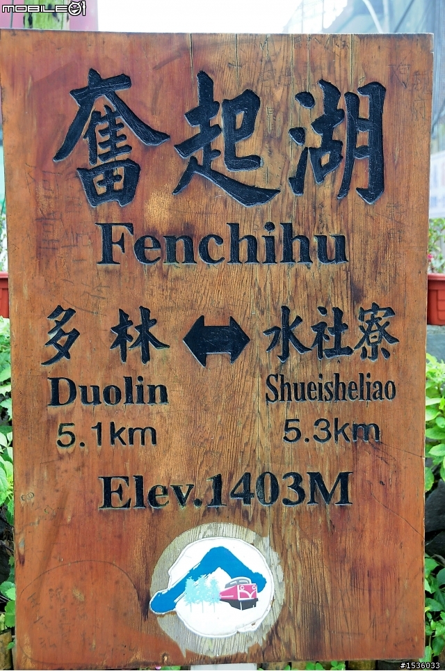 123開著Luxgen SUV到阿里山，阿里山，山上有神木，山下有便當。