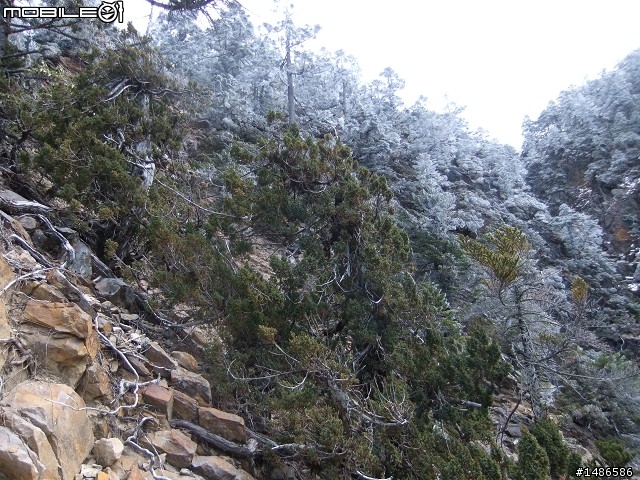 玉山暴走