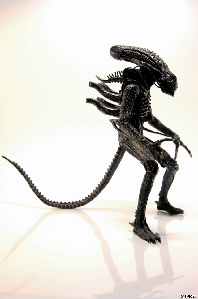 NECA AVPR Alien Warrior - 異形來襲