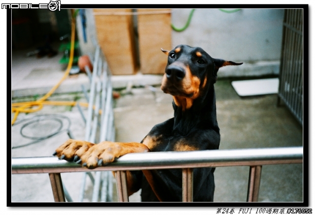 KLASSE S 初拍-fuji 100color-五色鳥沖掃…請指教